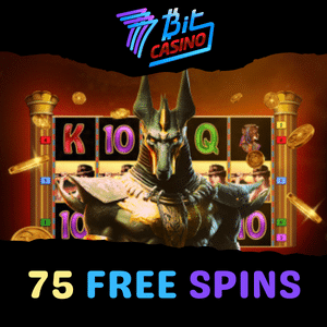 spinfest casino review